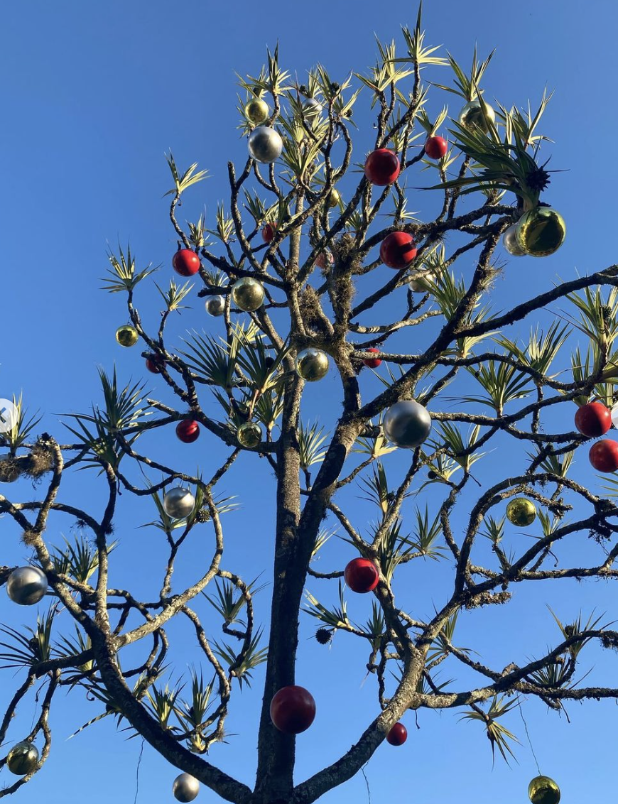 árvore de natal ilustrando época de final de ano.